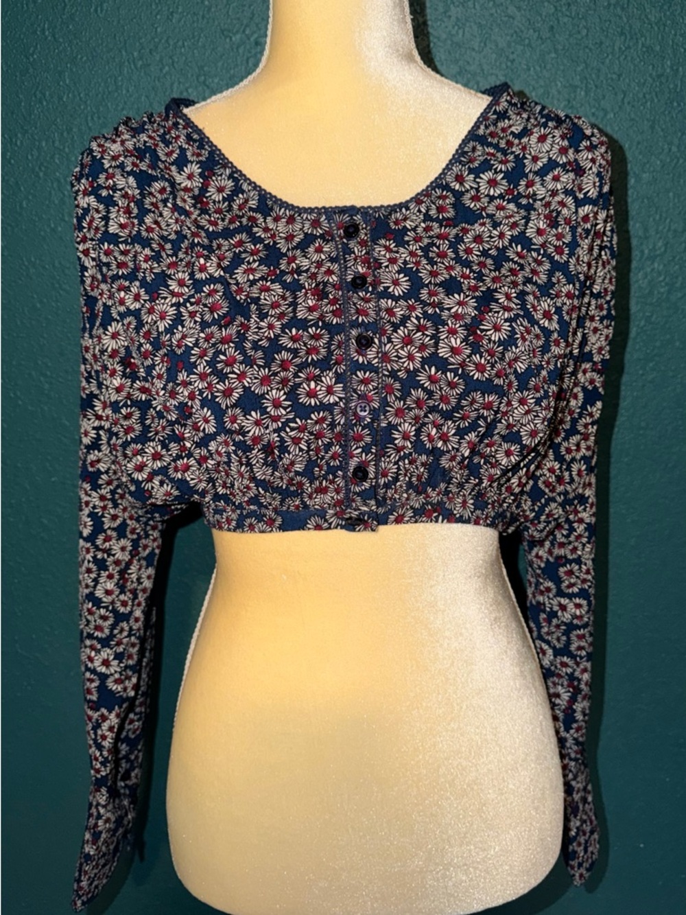 Amuse Society Navy Floral Daisy Crop Top with Red & White Accents S